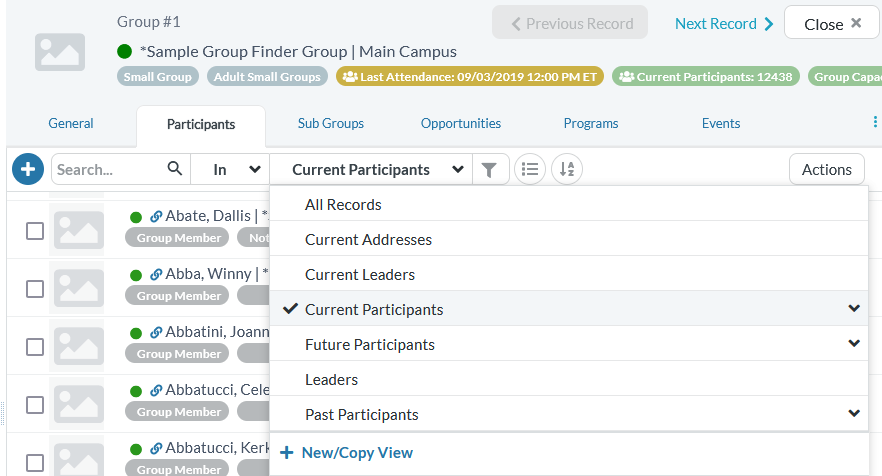Group record on the Participants tab with the View list showing options like Current Participants, Current Leaders, and Past Participants