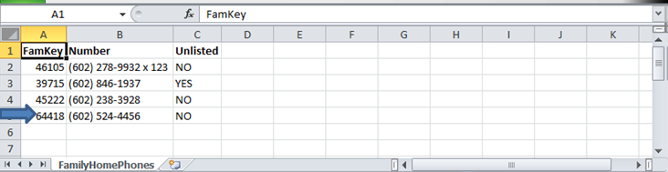 Example file showing the headers Fam Key, Number, and Unlisted with data in the cells below