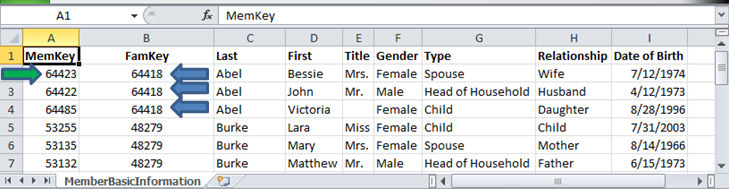 Example file showing the headers Mem Key, Fam Key, Last, First, Title, Gender,Type, Relationship, and Date of Birth with data in the cells below