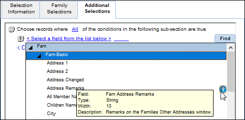 Example of Additional Selections showing the Fam Address Remarks field information