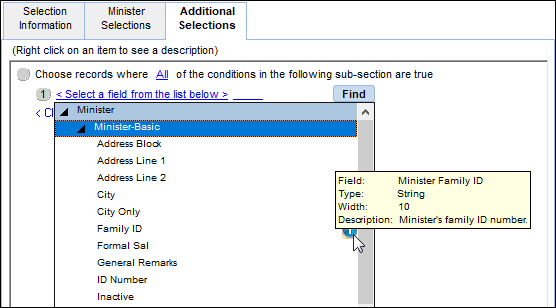 Example of Additional Selections showing the Minister Basic field information