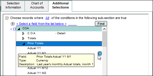 Example of Additional Selections showing the Prior Totals Actual Y1 M1 field information