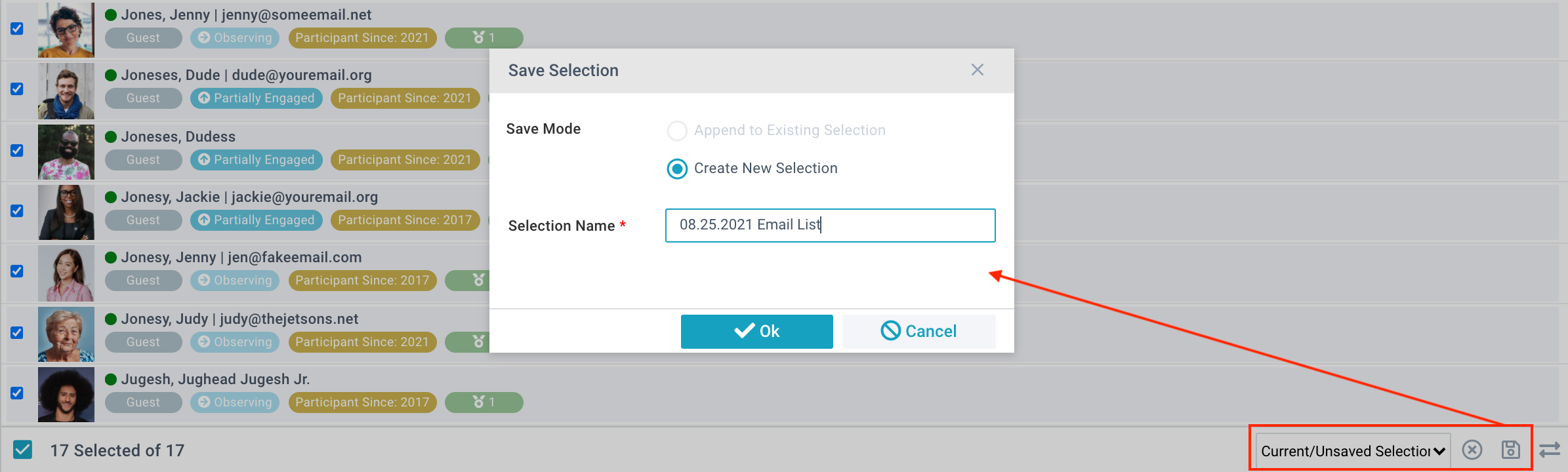 The Save Selection dialog box with the Create New Selection button selected