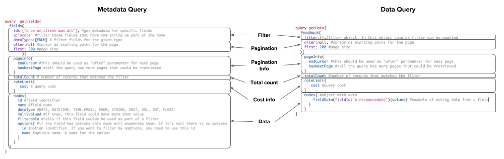 Examples of metadata and data queries with call-outs to the sections: filter, pagination, pagination info, cost info, and data