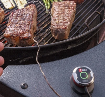 iGrill Mini Bluetooth Smart Thermometer for Grilling and Cooking