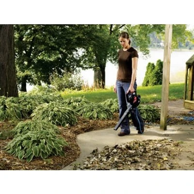 Power Sweep Electric Leaf Blower with 160 Miles Per Hour Air Speed