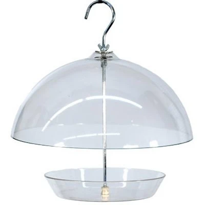 Dome Top Seed and Bluebird Feeder, 11 and Three Quarter Inches