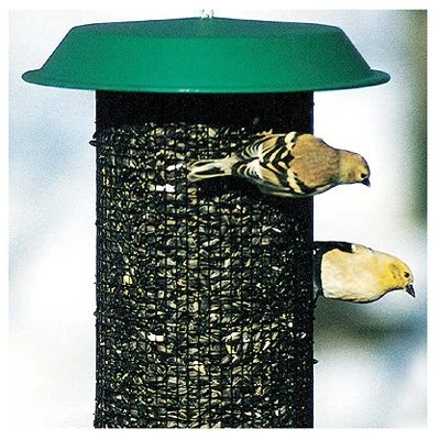 Oil Sunflower Magnum Bird Feeder, 3 Pounds Capacity