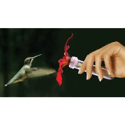 Hummingbird Feeder 0.5 Ounce Window Mount or Handheld Design