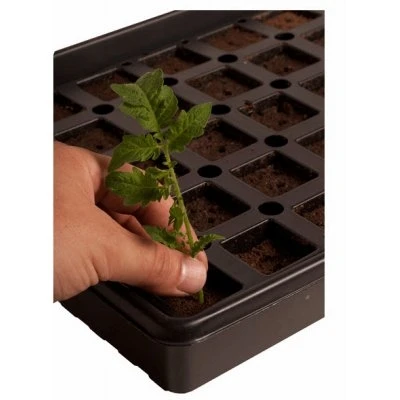 Accelaroot 50-Cell Hydroponics Growing Tray with Insert and Starter Plugs for Seedlings