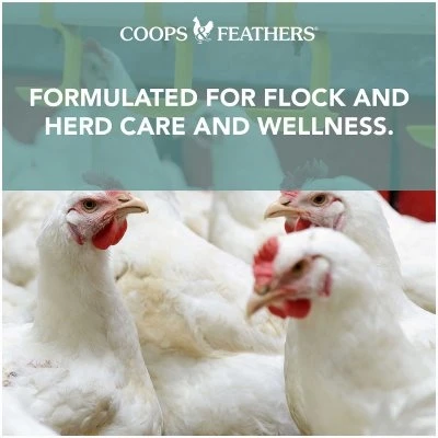 Healthy Hen Egg-Stra Eggs Water Additive, 16 Ounce Bottle