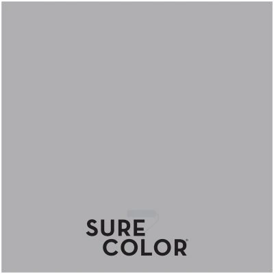 Sure Color Interior Wall Paint and Primer Eggshell Finish Storm Gray 1 Gallon