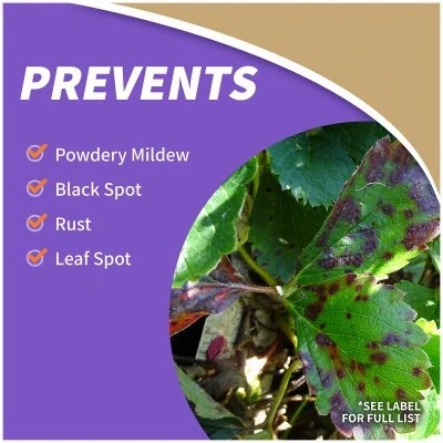 All Seasons Horticultural and Dormant Spray Oil Organic Disease Prevention and Insect Killer 32 Ounce Concentrate