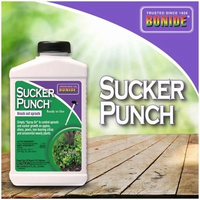 Sucker Punch Plant Growth Regulator Sprout Control Liquid with Brush Applicator 8 Ounce Ready to Use
