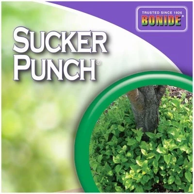 Sucker Punch Plant Growth Regulator Sprout Control Liquid with Brush Applicator 8 Ounce Ready to Use