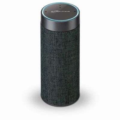 Alexa Wi-Fi Concierge Wireless Speaker with Voice Activation in Gray