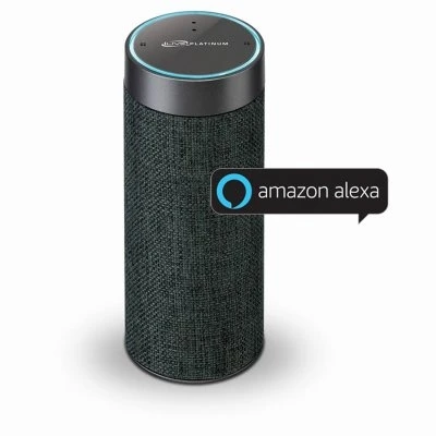 Alexa Wi-Fi Concierge Wireless Speaker with Voice Activation in Gray