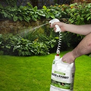 Deer and Rabbit Repellent Ready-to-Use 1 Gallon Concentrate
