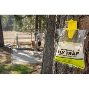 Disposable Fly Trap
