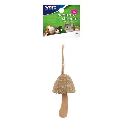 Health-E Schroom Chew Toy for Small Pets