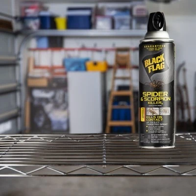 Spider and Scorpion Killer Insecticide, 16 Ounce Aerosol Spray
