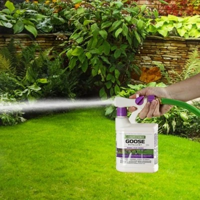 Goose Repellent Ready to Spray, 32 Ounce Bottle