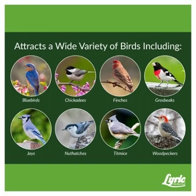 Fine Tunes Wild Bird Food No Waste Mix 15 Pounds Bag