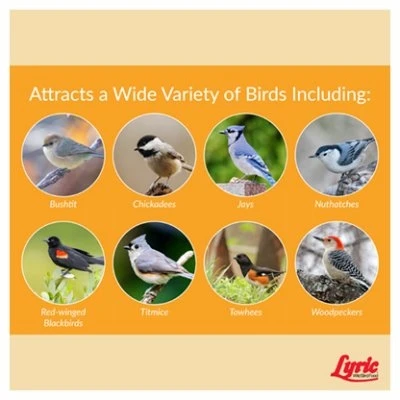 Chickadee Wild Bird Food, Premium Sunflower & Nut Mix, 20 Lbs.