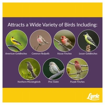 Finch Small Songbird Wild Bird Food Mix, 20 Lbs.