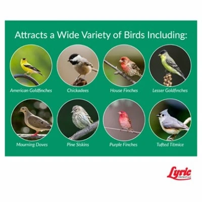 Nyjer Bird Food Seed, 3 Pound Bag, High-Energy Small Seed for Finches and Songbirds