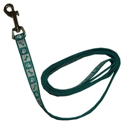Brite Reflective Dog Leash, Teal, 5/8-inch X 4-feet, Durable Nylon