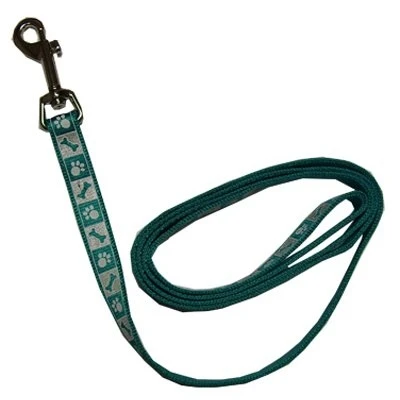 Lazer Brite Reflective Dog Leash, Teal, 1-inch X 4-feet, Model 46984 B Tpw04