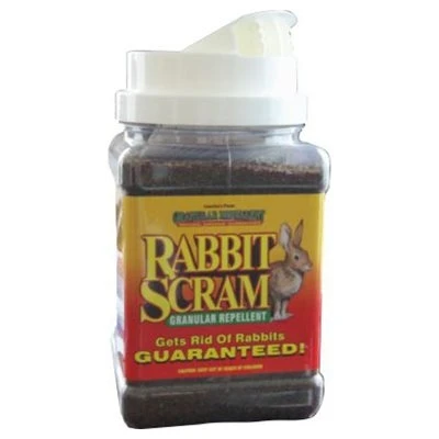 2.5LB Rabbit Scram