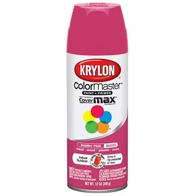 Colormaster Spray Paint, Indoor/Outdoor Use, Gloss Mambo Pink, 12-oz.