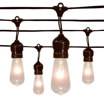 20 Edison Drop Bulbs String Light Set For Indoor & Outdoor Use