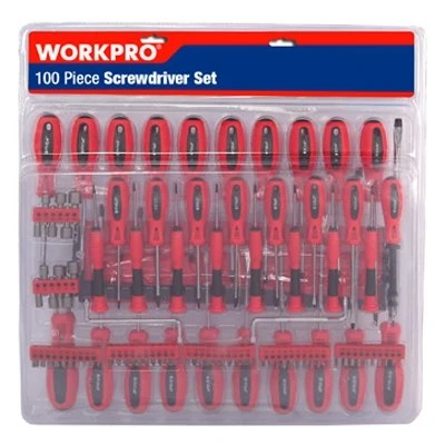 100-piece Screwdriver And Tool Set With Precision Tools And Accessories