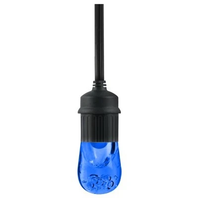Enbrighten Cafe Light Bulb, Blue, 6-Pk.