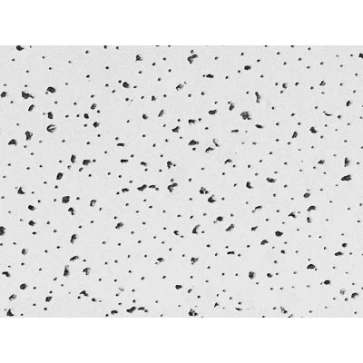 Radar Acoustical Ceiling Tile, 2 x 2 Ft.