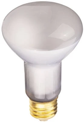 Reflector Flood Light Bulb, 30-Watts