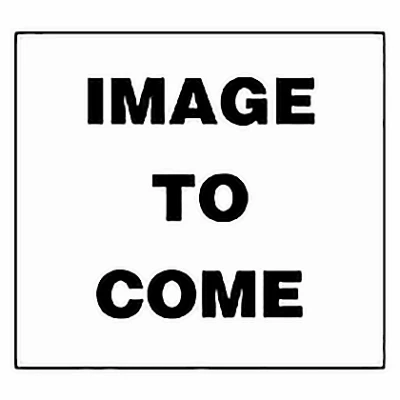 Masonry Drill Bit, 3/8 x 4 In.