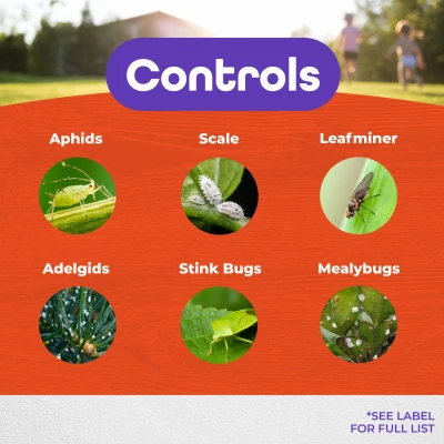 32 Oz. Ready To Spray Systemic Insect Killer For Gardens And Shrubs