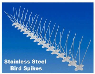 Bird Spike, Stainless Steel/Plastic, 5-In. x 6-Ft.