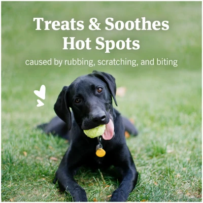 Hot Spot Skin Remedy for Dogs, 4-oz.