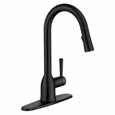 Adler Single Handle, High Arc Kitchen Faucet, Pull-Down Spray, Matte Black