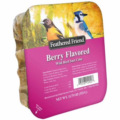 Berry Flavored Suet Wild Bird Food, 11.75 oz.