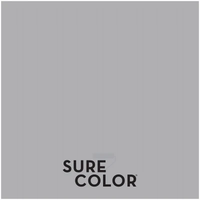 Sure Color Interior Wall Paint and Primer Eggshell Finish Storm Gray 1 Gallon