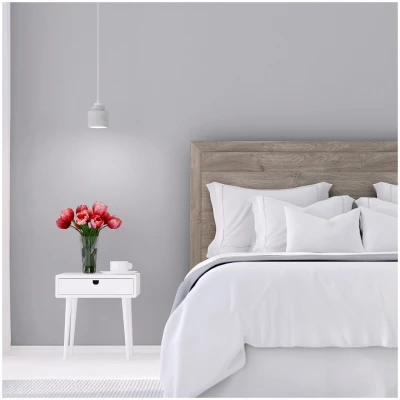 Sure Color Interior Wall Paint and Primer Eggshell Finish Storm Gray 1 Gallon