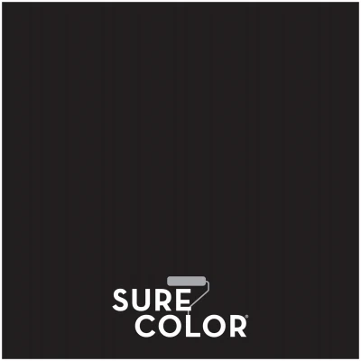 Sure Color Interior Wall Paint and Primer, Flat Black Finish, 1 Gallon