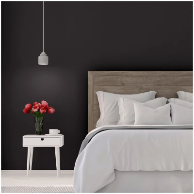 Sure Color Interior Wall Paint and Primer, Flat Black Finish, 1 Gallon