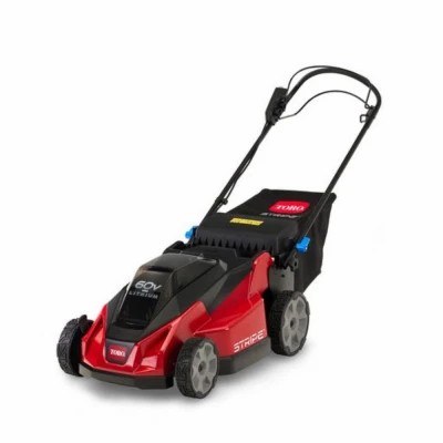 60-Volt Stripe Self-Propelled Lawn Mower, 21 In.